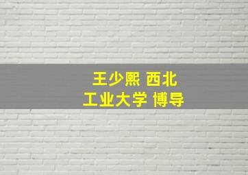 王少熙 西北工业大学 博导